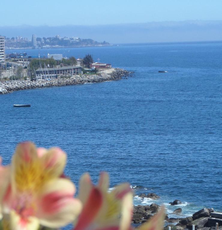 Domus Mare Hotel Vina del Mar Rom bilde